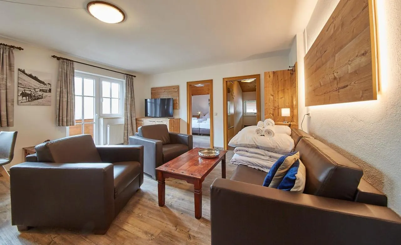 Delfi Ski & Bike Appartements Saalbach-Hinterglemm